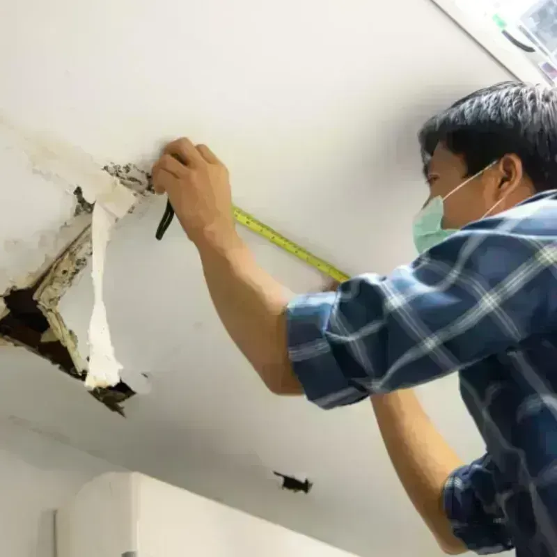 Ceiling And Wall Water Damage in Makakilo City, HI